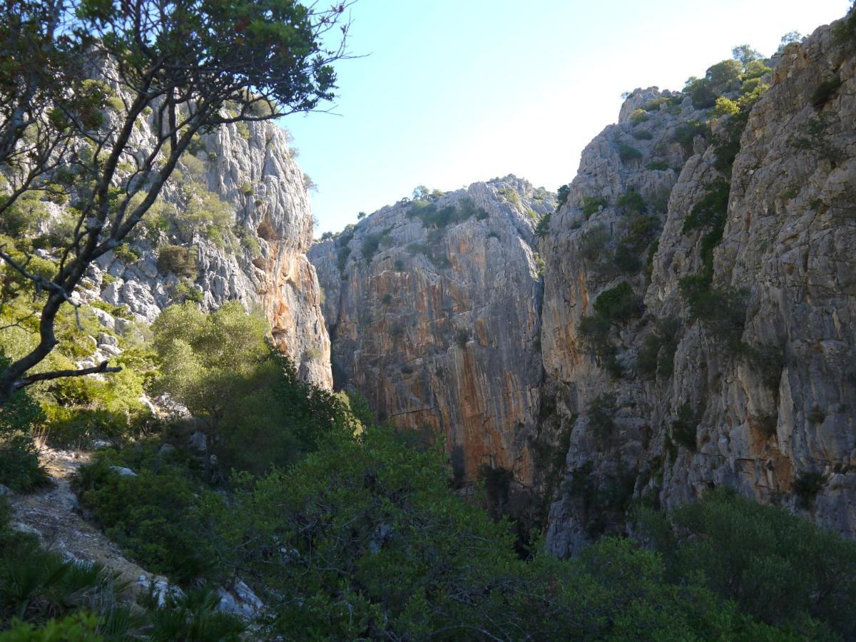 Casa Rural Guadiaro El Colmenar Εξωτερικό φωτογραφία